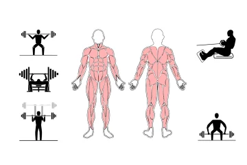 fullbody